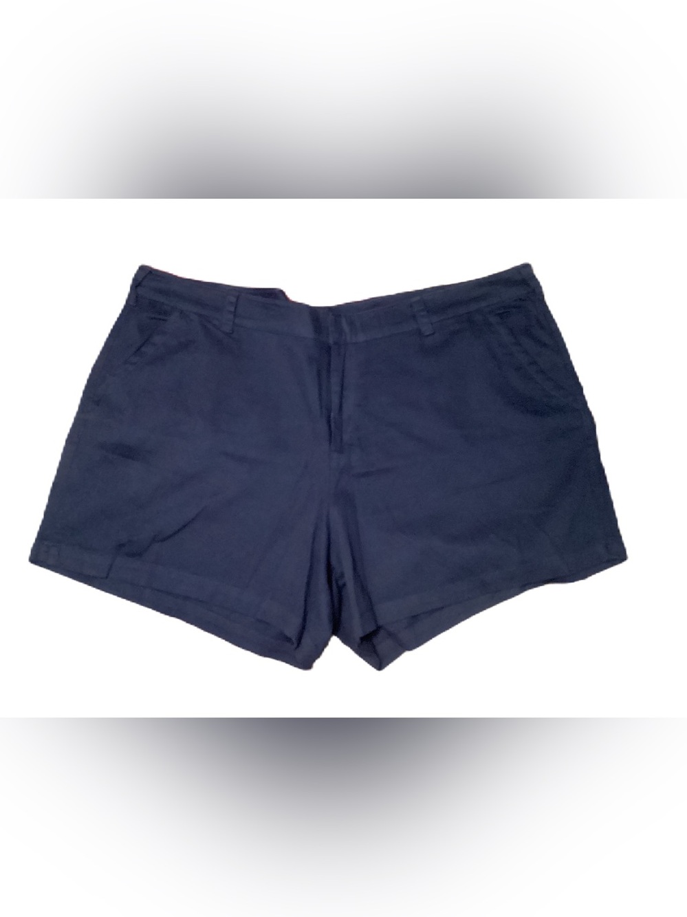 Lane Bryant shorts. 28